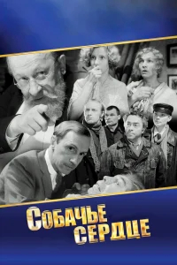Собачье сердце бесплатно